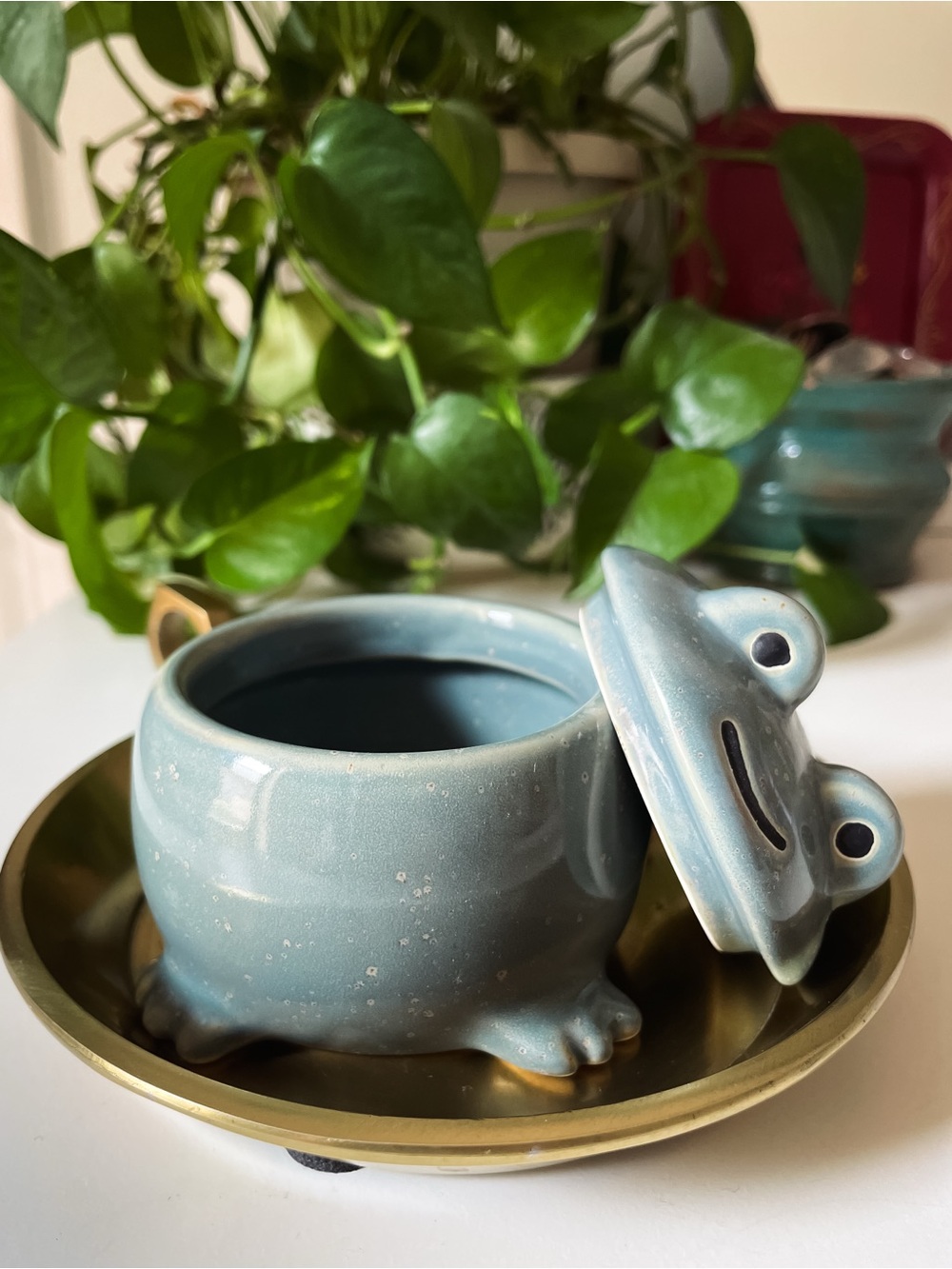 Trinket Jar - Adorable Green-Grey Ceramic Frog Keepsake Jar - Picture 5 of 8